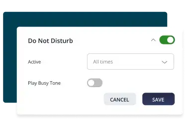 voip features do not disturb (1)